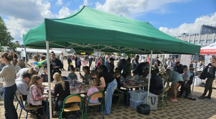 Abrys na XVI Festynie GOZ w Elblągu