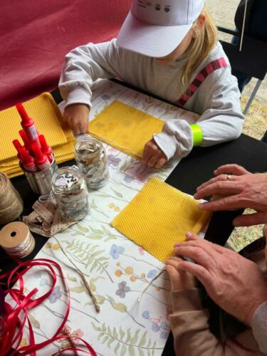 WhatsApp-Image-2025-08-25-at-10.10.16-1